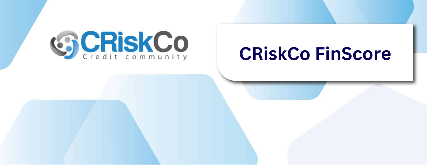 CRiskCo FinScore – Model White Paper